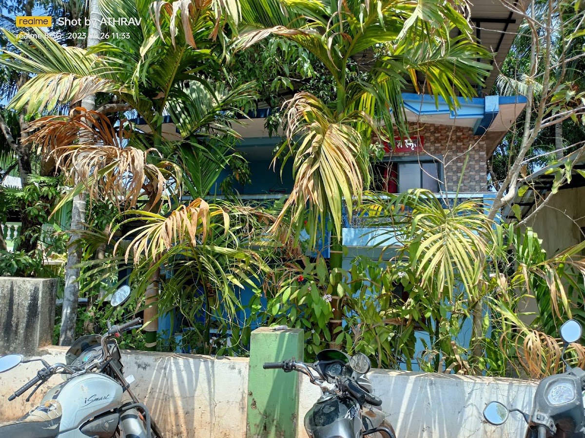 Tuem Branch Post Office Cover Photo in Pernem, Goa — Post Office | BizBook Goa