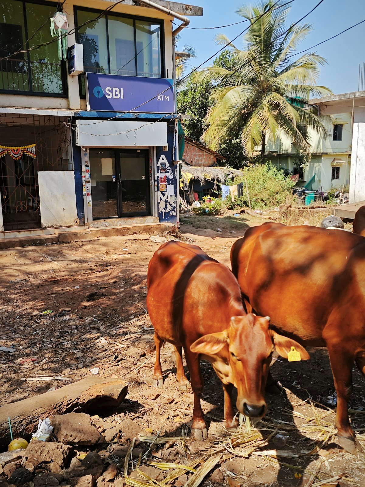 State Bank of India — Arambol Cover Photo in Arambol, Goa — Banks | BizBook Goa